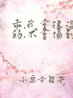 乖,我会很温柔的,不会伤到你小说