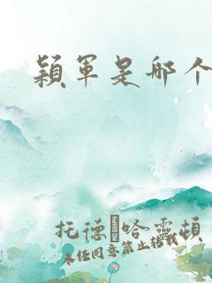 颖军是哪个军阀