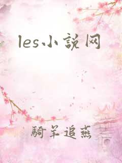 les小说网