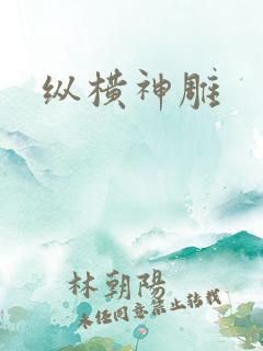 纵横神雕