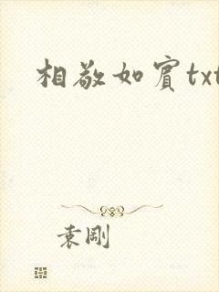 相敬如宾txt