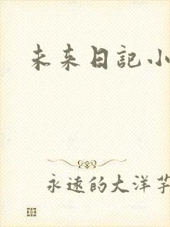 未来日记小说