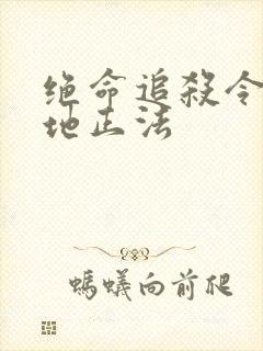 绝命追杀令2就地正法