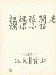 把腿张开老子臊烂你小说