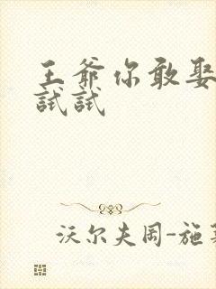 王爷你敢娶小三试试