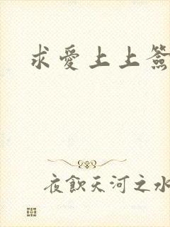 求爱上上签国语