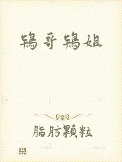 鸨哥鸨姐