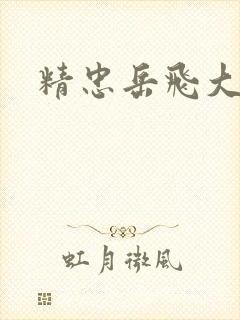 精忠岳飞大结局