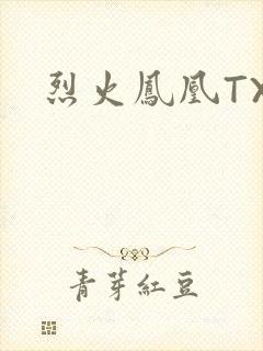 烈火凤凰TXT