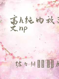 高h纯肉放荡h文np