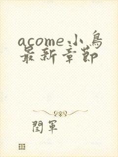 acome小鸟最新章节