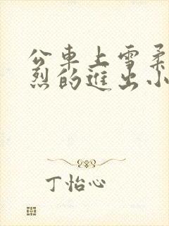 公车上雪柔被猛烈的进出小说