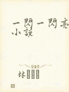 一闪一闪亮星星小说