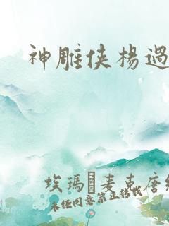 神雕侠杨过后传