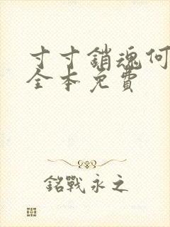 寸寸销魂何生祥全本免费