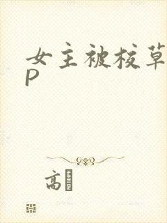 女主被校草们NP