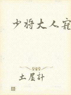 少将大人宠宠我