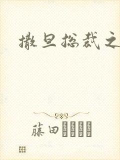 撒旦总裁之霸爱