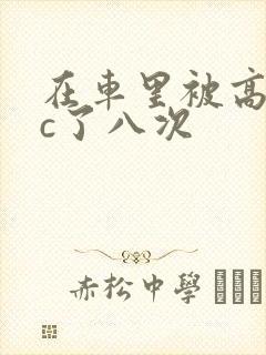 在车里被高潮被c了八次