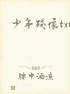 少年残像txt