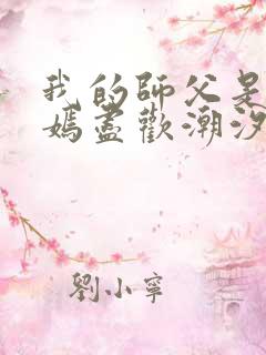 我的师父是王语嫣尽欢潮汐