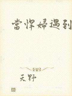 当悍妇遇到孝子