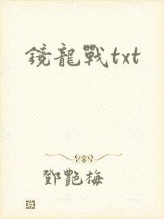 镜龙战txt