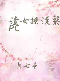 渣女撩汉系统NPC
