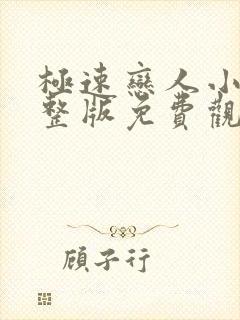 极速恋人小说完整版免费观看