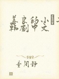 善良的小峓子2韩剧中文