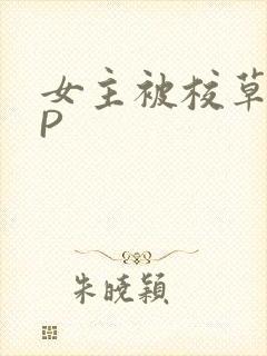 女主被校草们NP