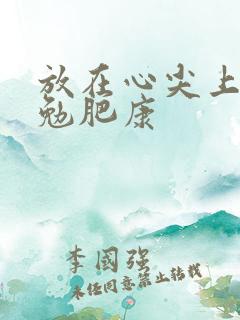 放在心尖上七猫勉肥康