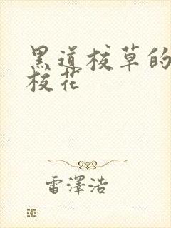 黑道校草的黑道校花