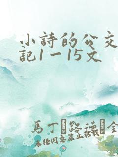 小诗的公交车日记1一15文