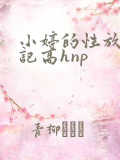 小婷的性放荡日记高hnp