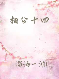 相公十四