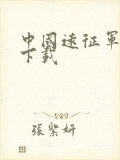 中国远征军全集下载