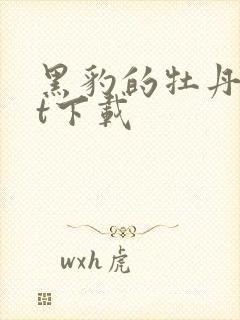 黑豹的牡丹txt下载