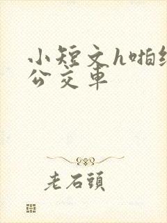 小短文h啪纯肉公交车