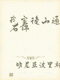 我家后山通仙界石锦