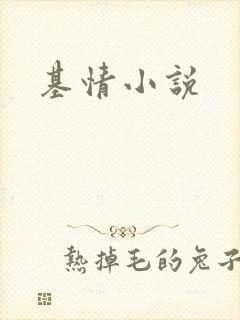 基情小说
