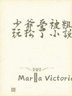 少爷受被粗汉H玩松了小说