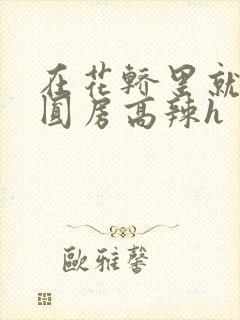 在花轿里就开始圆房高辣h