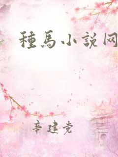 种马小说网