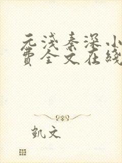 元浅秦深小说免费全文在线