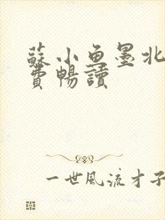 苏小鱼墨北枭免费畅读