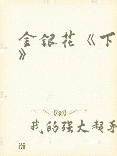 金银花《下厨房》