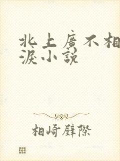 北上广不相信眼泪小说