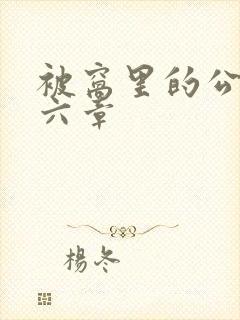 被窝里的公息十六章