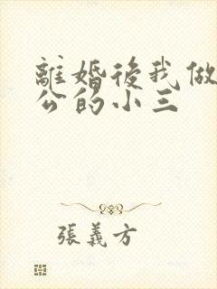 离婚后我做了老公的小三